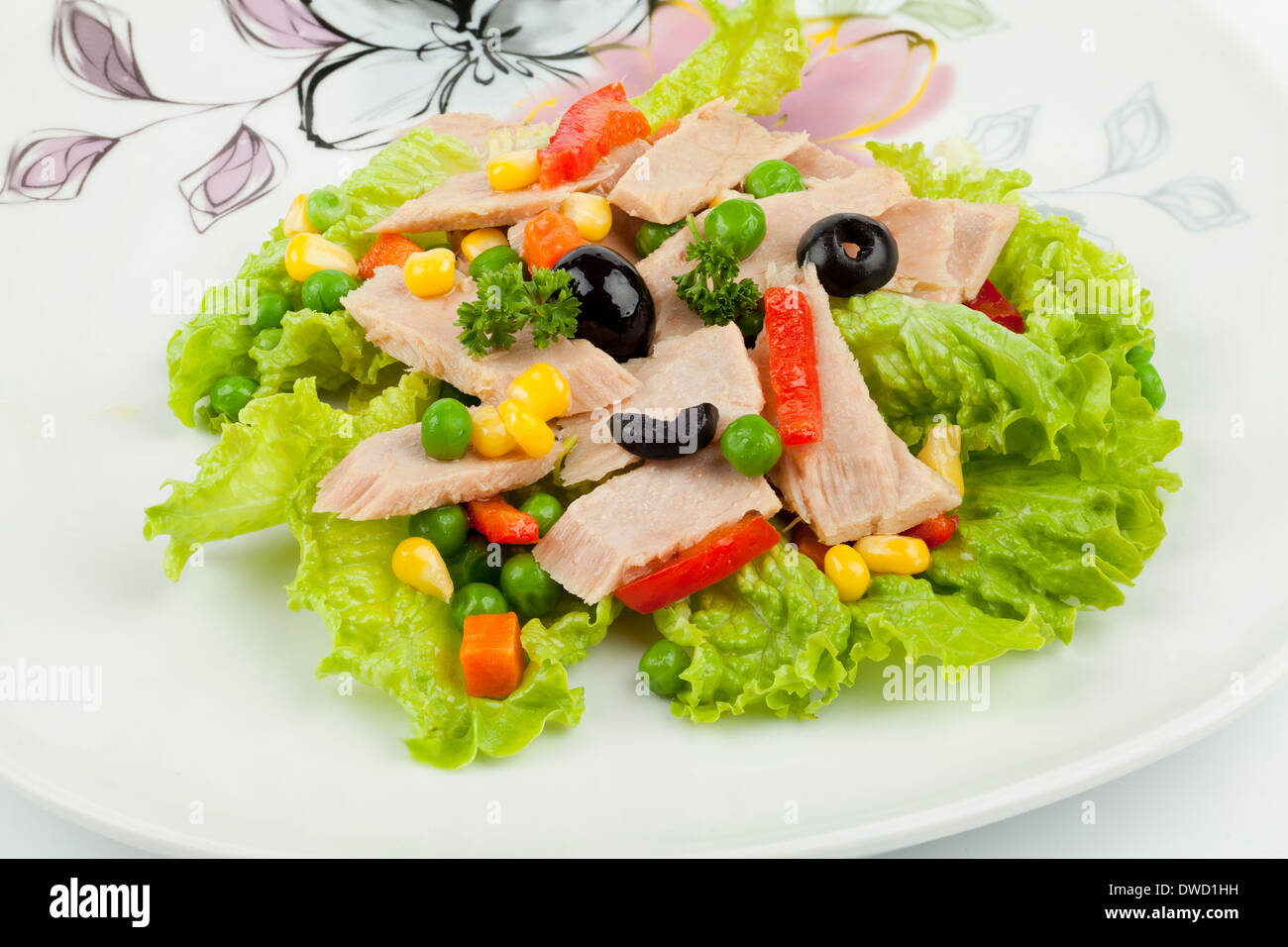 Eingemachter Thunfisch Stücke mit grünem Salat und Gemüse Stockfoto