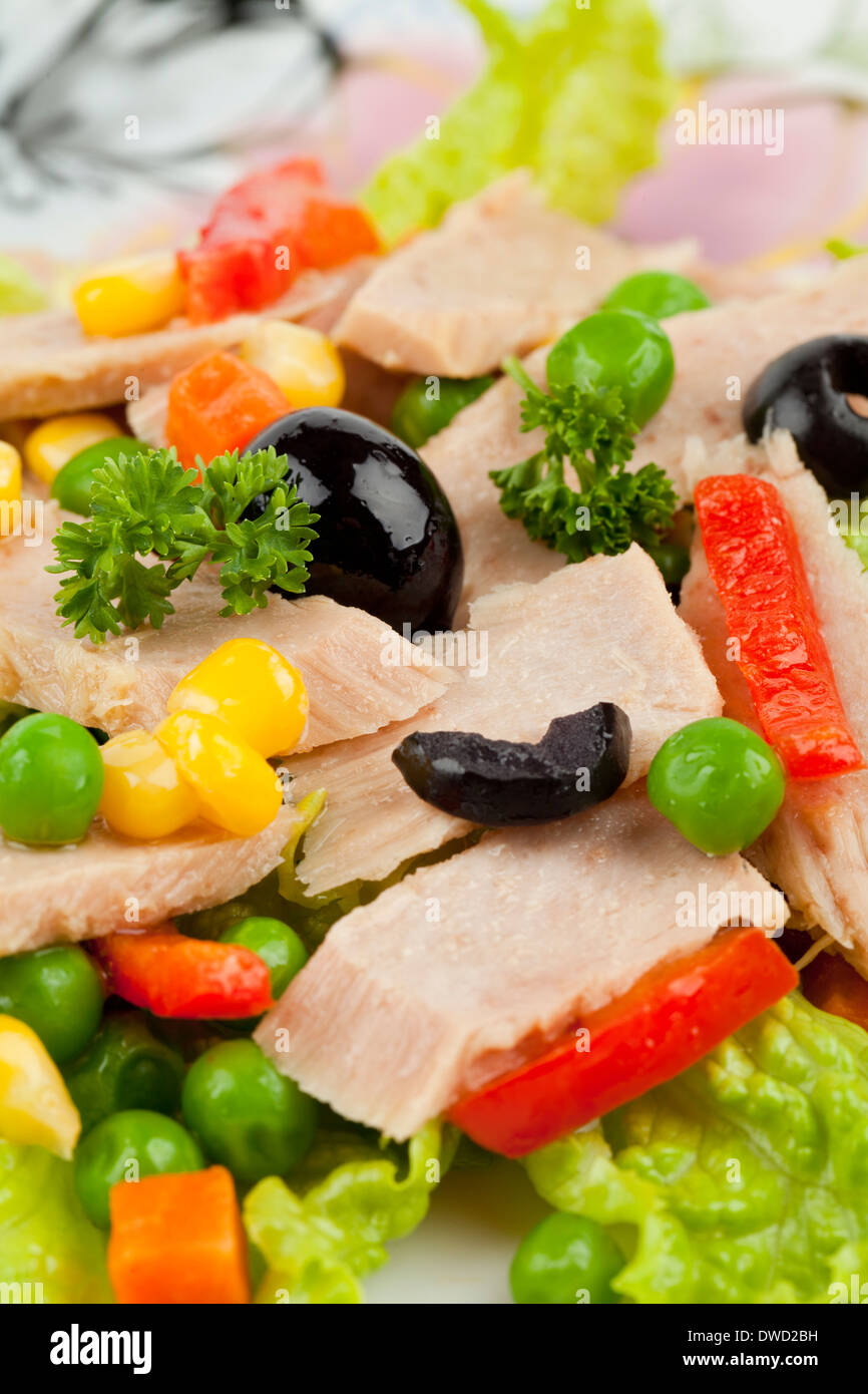 Eingemachter Thunfisch Stücke mit grünem Salat und Gemüse Stockfoto