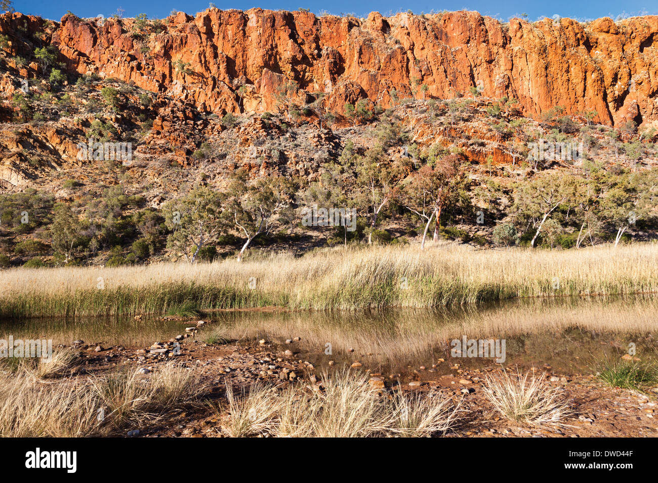 Glen Helen Wasserloch Central Australia in der Nähe von Alice Springs im Westen Macdonnel reicht Stockfoto