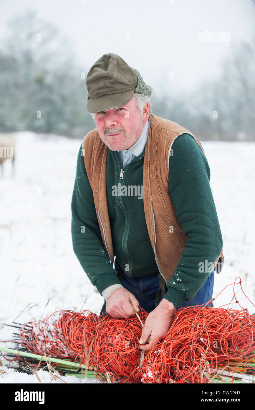 Deutschland, Rheinland-Pfalz, Neuwied, Porträt des Hirten auf Schnee bedeckt Weide Stockfoto