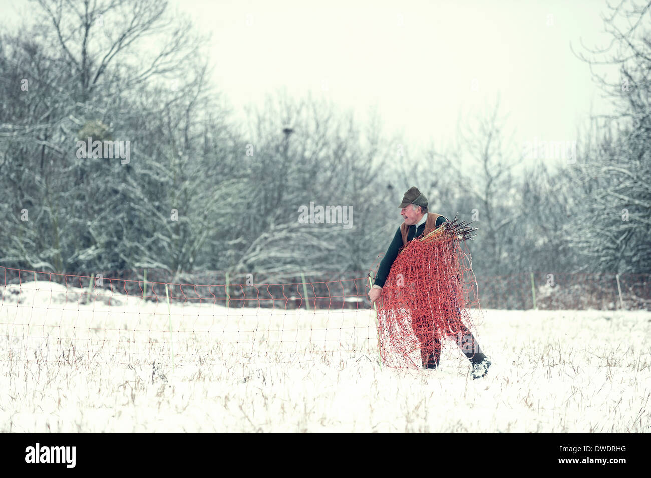 Deutschland, Rheinland-Pfalz, Neuwied, Schäfer auf Schnee bedeckt Weide Stockfoto