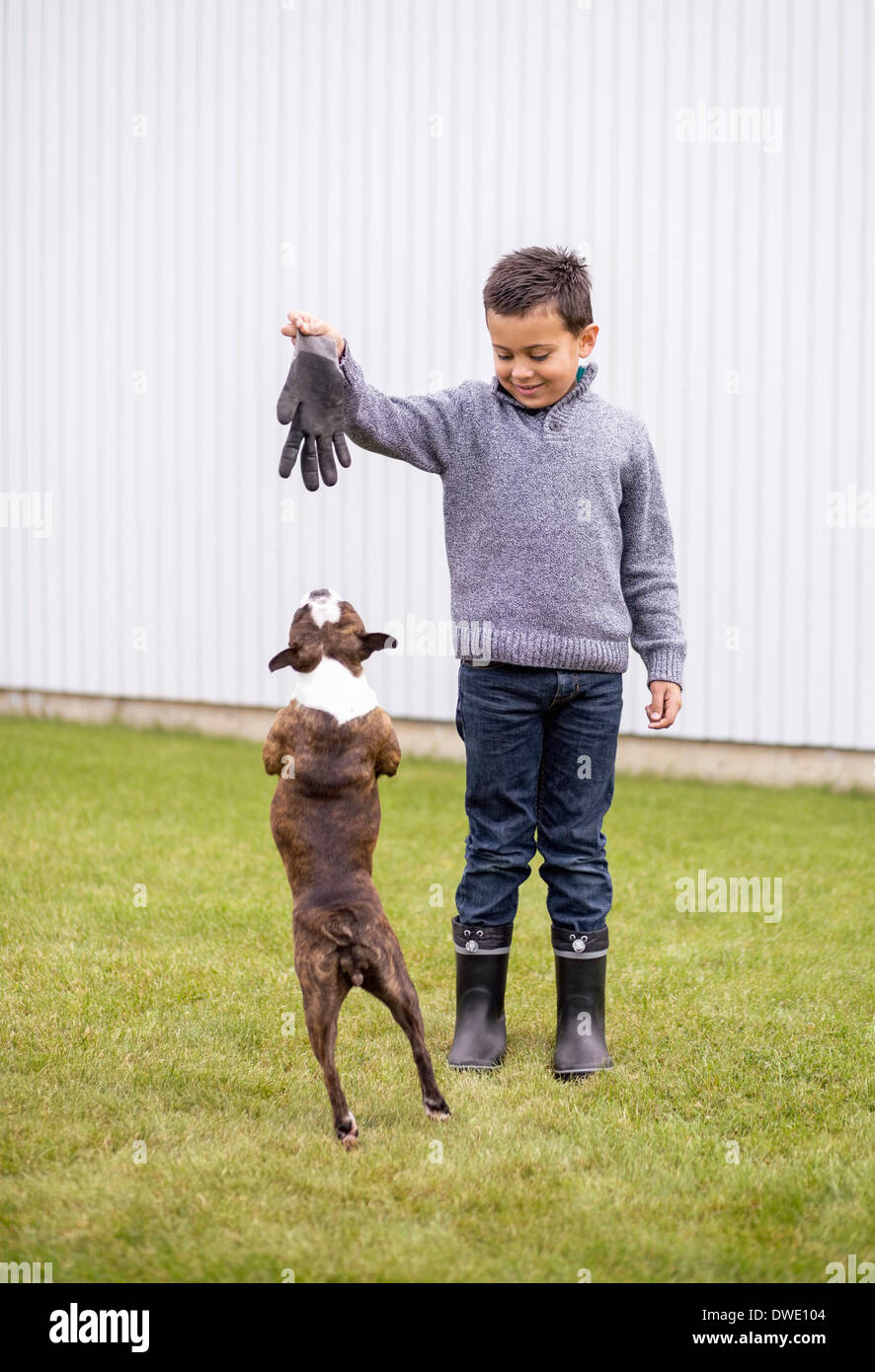 Junge mit Hund im Garten spielen Stockfoto