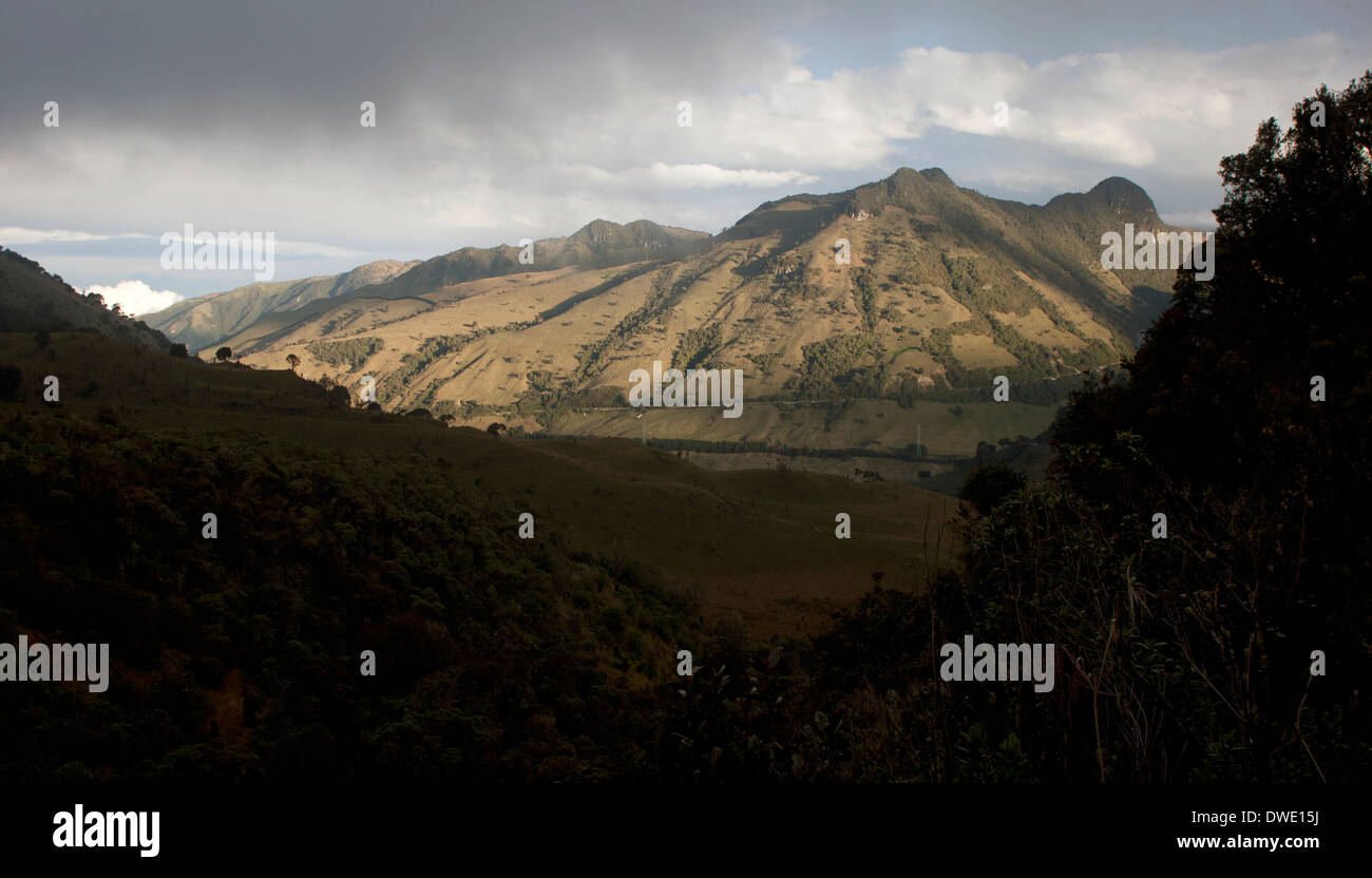 Der Naturpark Los Nevados, zentralen Anden Kolumbiens. Stockfoto