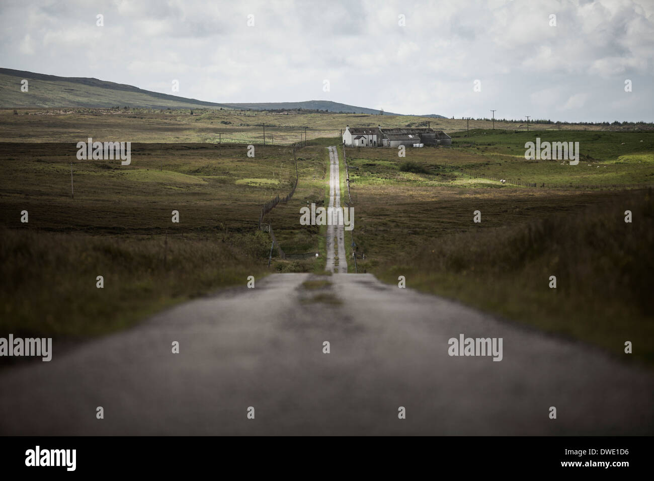 Einspurigen Straße vorbei an einem Bauernhaus auf der Isle of Islay, Schottland Stockfoto