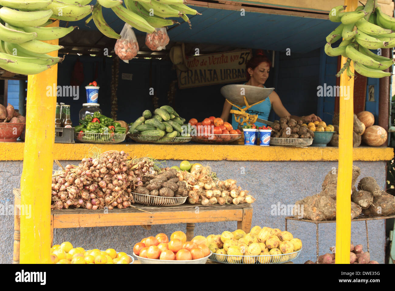 Ein Obst und Gemüse "Shop" im Norden Kuba Stockfoto