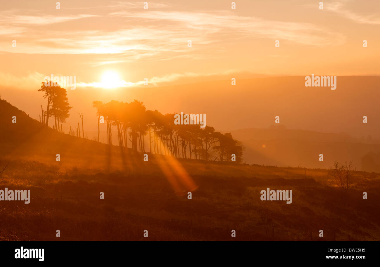 Frühen Morgenlicht auf die Kakerlaken in der Nähe von Lauch in Staffordshire, UK Stockfoto