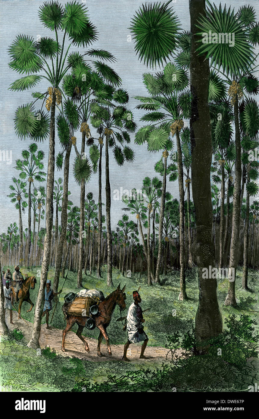 Europäische Entdecker in einem Wald in der Nähe des Senegal, Französisch Westafrika, 1800. Hand - farbige Holzschnitt Stockfoto