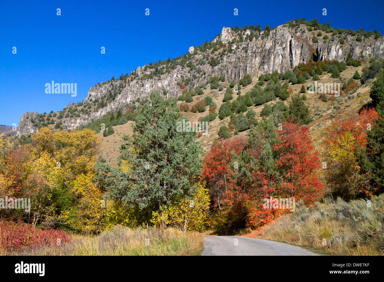 Die Bear River Mountains in Logan Canyon in Utah. Stockfoto
