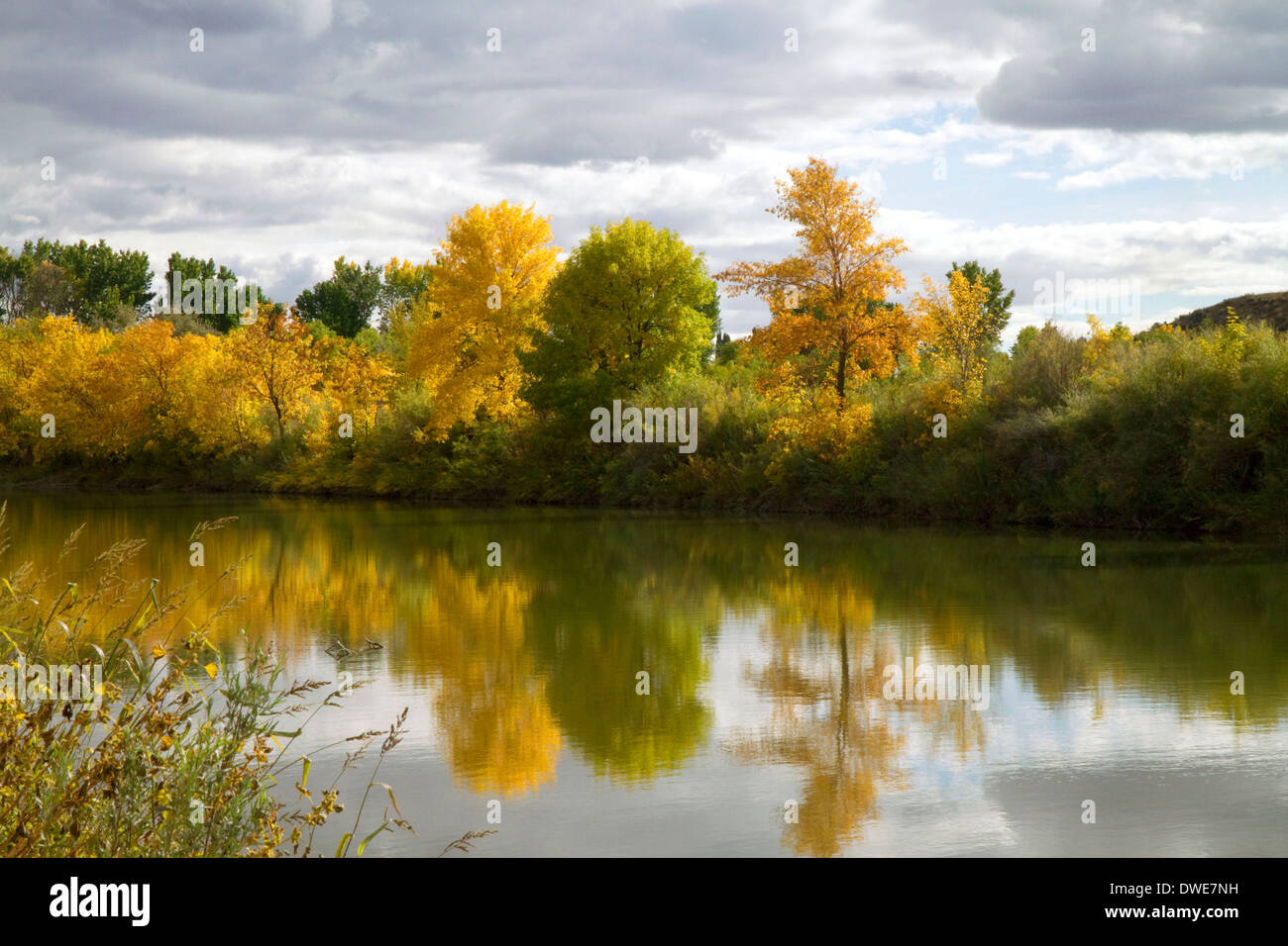 Farben des Herbstes entlang der Bear River in der Nähe von Tremonton, Utah, USA. Stockfoto