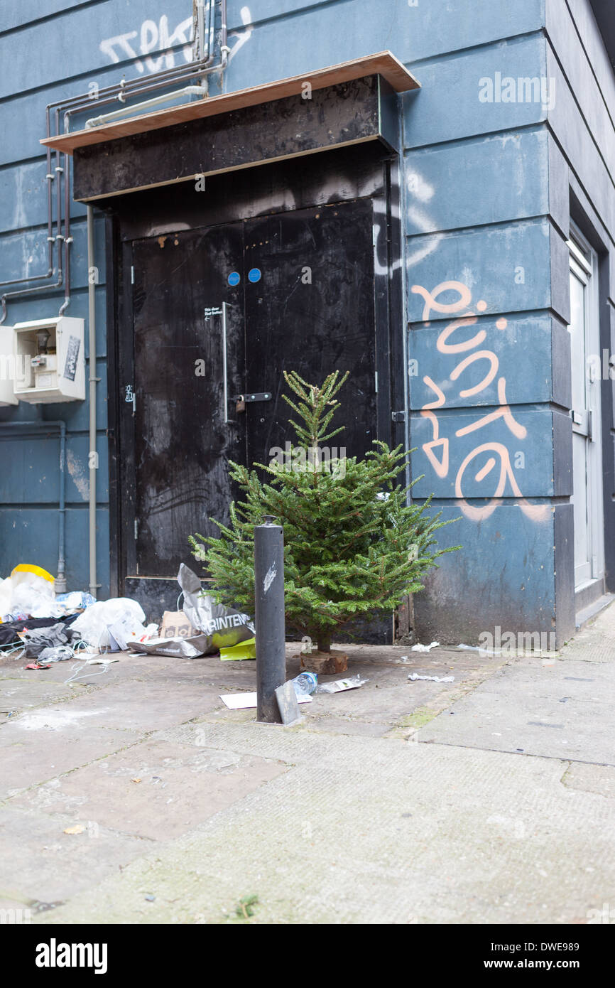Verlassene Weihnachtsbaum Stockfoto