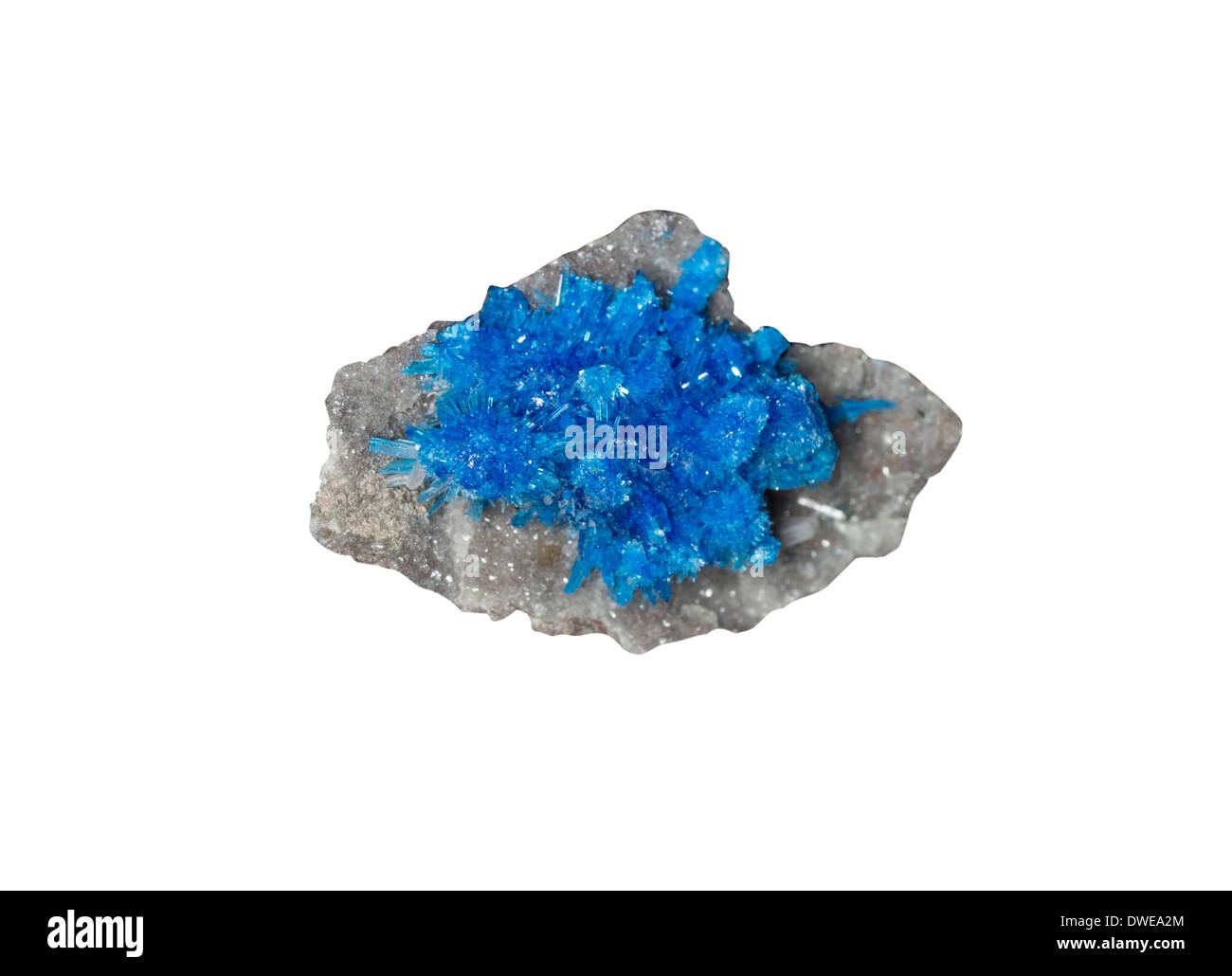 Cavansite Mineral aus Vanadium Calciumsilikat Brasilien ist eine tiefblaue wasserhaltigen Kalzium Vanadium Schichtsilikat Mineral, Stockfoto