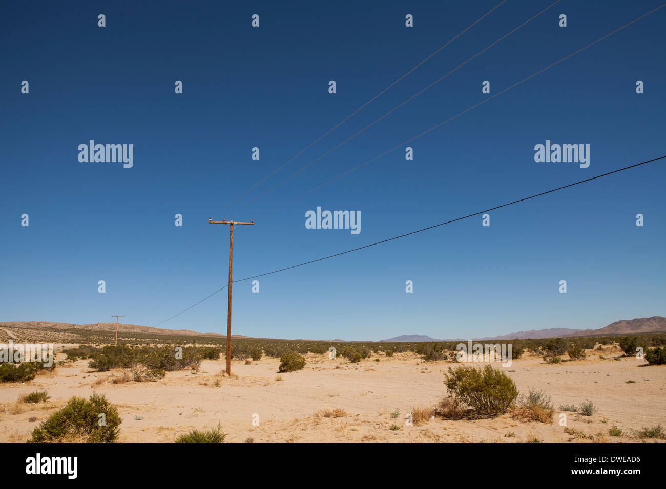 Telegrafenmasten auf einem staubigen Weg in der Wüste Stockfoto