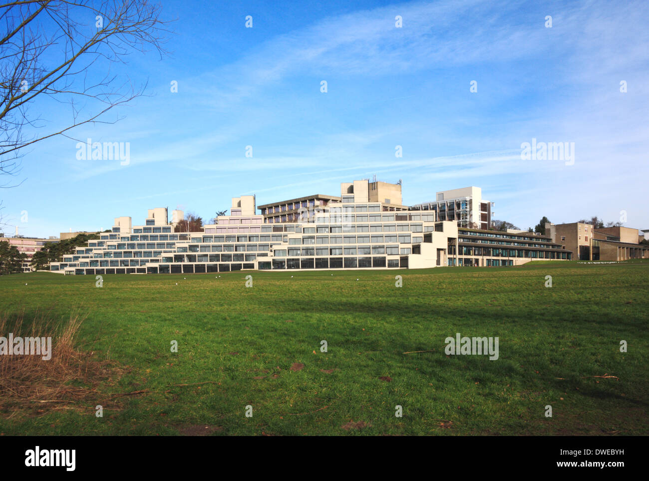 Ein Blick auf den Campus der University of East Anglia, Norwich, Norfolk, England, Vereinigtes Königreich. Stockfoto