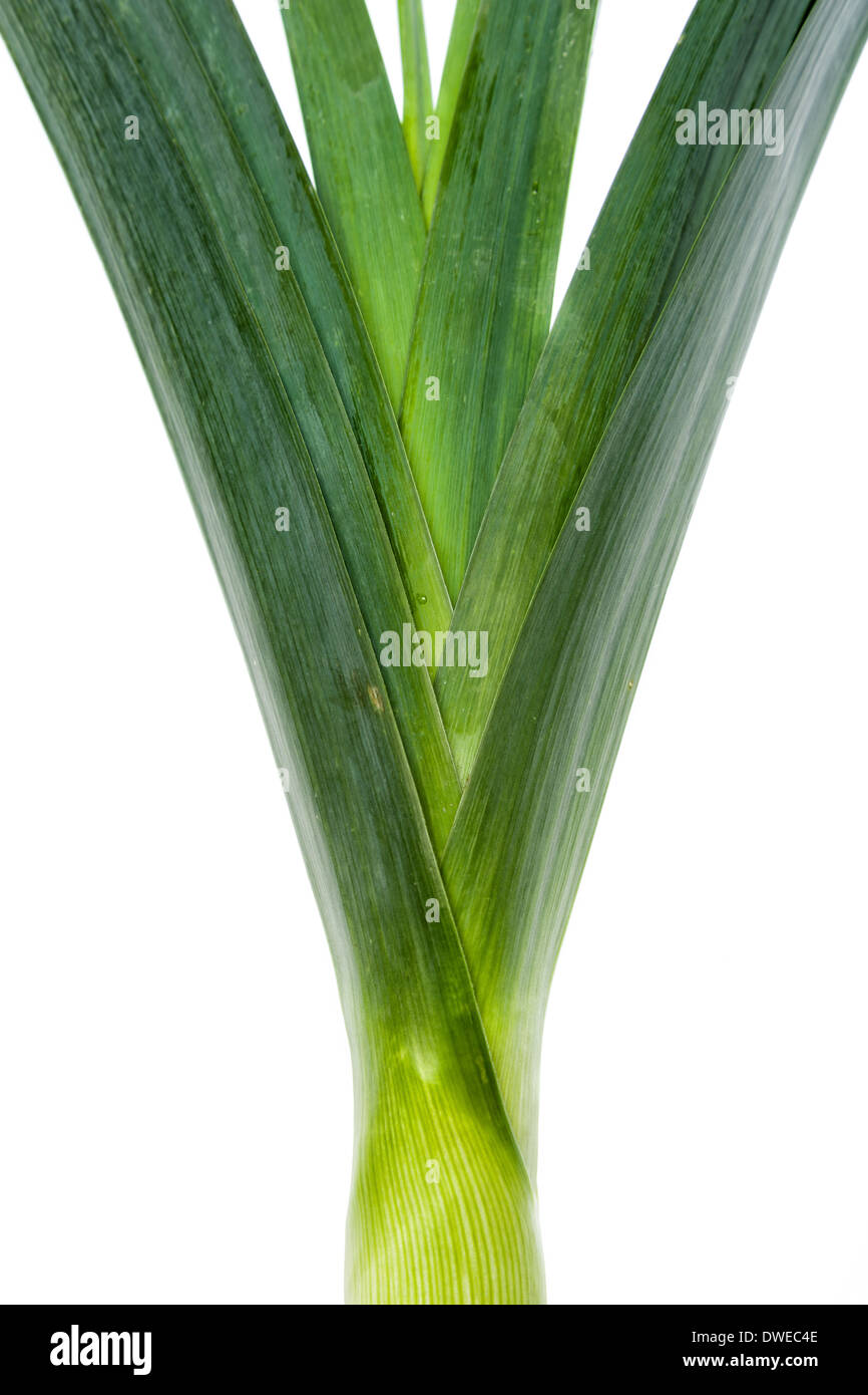 Die schöne Textur der schönen Gemüse - roh Lauch Stockfoto