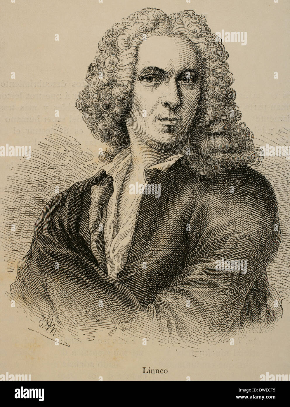Carl von Linné (1707-1778). Schwedischer Arzt und Botaniker. Kupferstich von G. Neumann in unserem Jahrhundert, 1883. Stockfoto