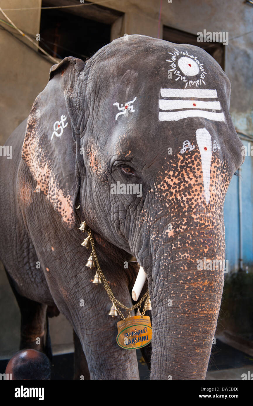 Indien Tamil Nadu Pondicherry Puducherry Manakula Vinayakar Tempel Ganesha Ganesha Lakshmi der Elefant segnet Anbeter religiöse Gottheit Kopf Profil Stockfoto