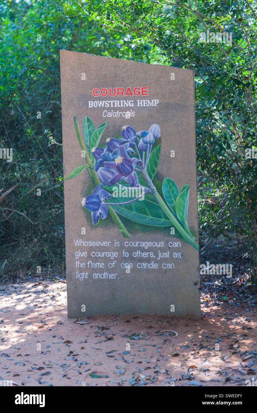 Indien Tamil Nadu Pondicherry Puducherry Auroville Meditation spirituelles Zentrum Zentrum Park Gardens Wood's Mutter symbol Blütenblatt Stein 12 Grundsätze Mut Stockfoto