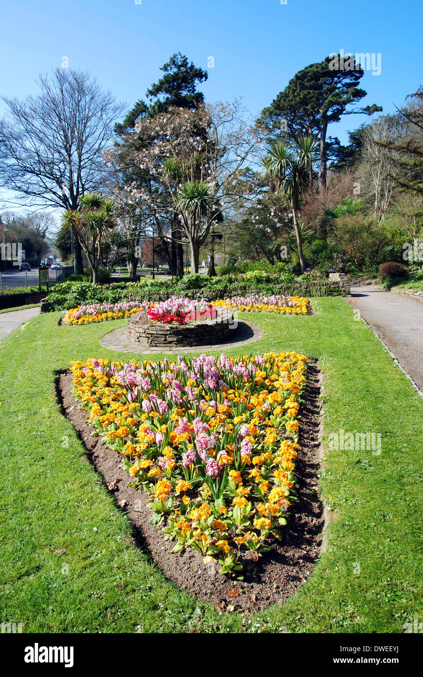 Frühlingsblumen in Trenance Gärten, Newquay, Cornwall, Großbritannien Stockfoto