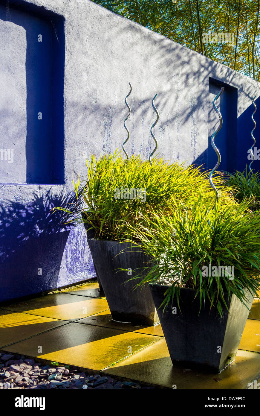Gräser in Kübeln auf der Terrasse der moderne Garten gepflanzt Stockfoto