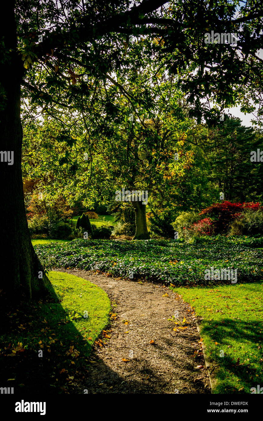 Gekrümmten Pfad durch den Garten Stockfoto