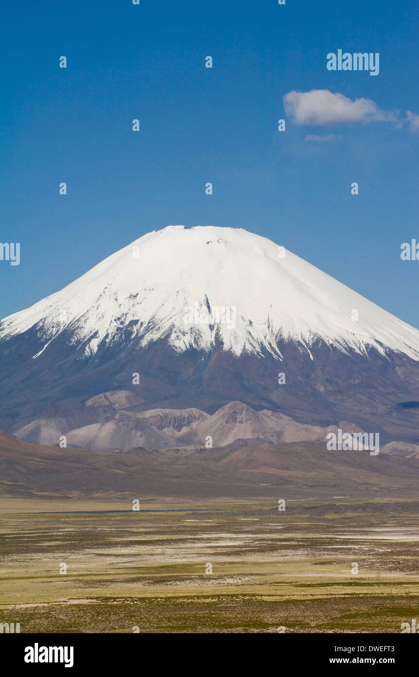Vulkan Parinacota Stockfoto