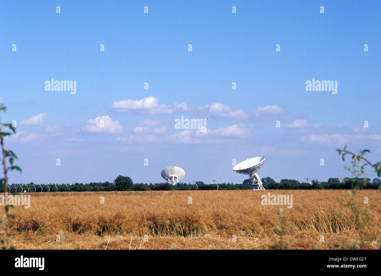 Radioteleskope des des Radio Astronomy Observatory (MRAO) basierte nur außerhalb von Cambridge Stockfoto