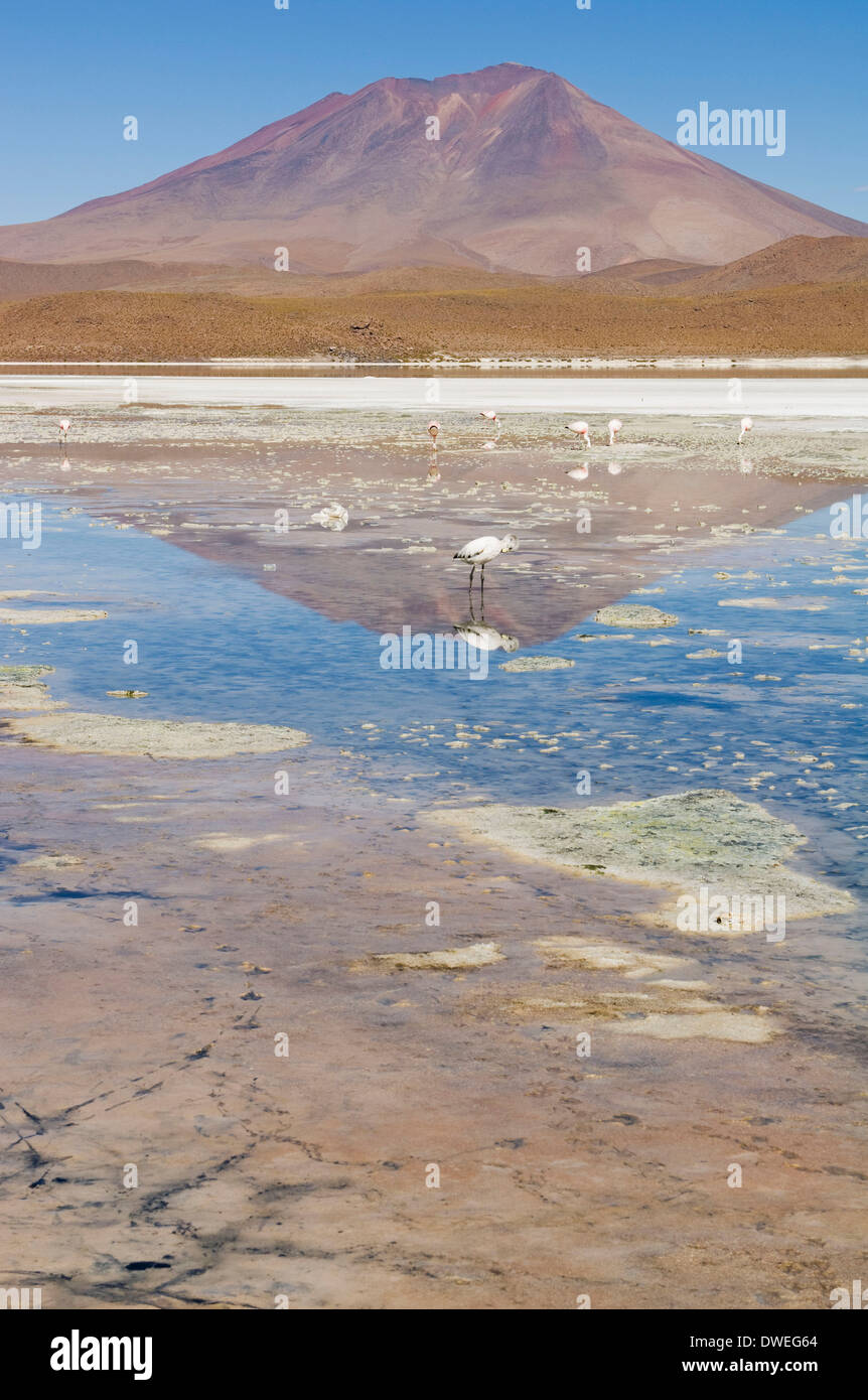 Laguna Hedionda Stockfoto