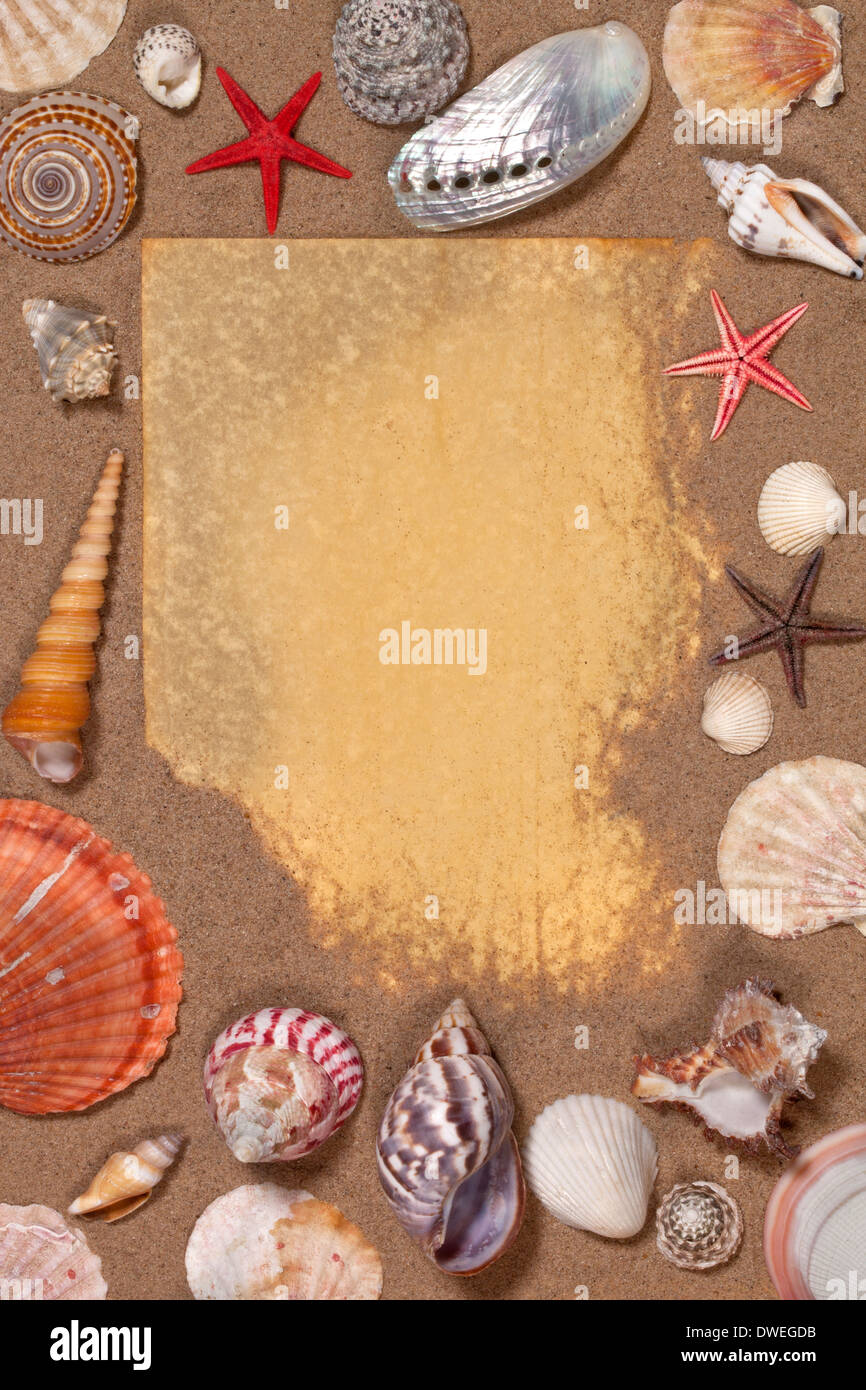 Antikes Papier mit Platz für Text auf einem Hintergrund aus Sand und Muscheln. Stockfoto