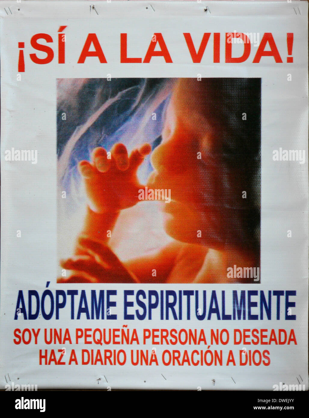 Mexiko-Anti-Abtreibung-Plakat Stockfoto