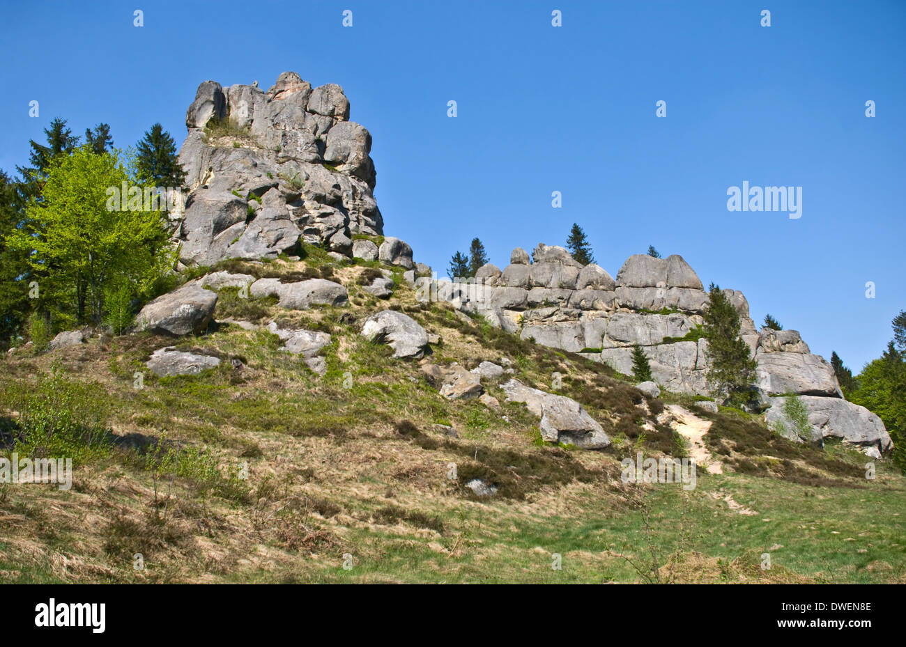 Felsen und Bäume im Sommer Stockfoto