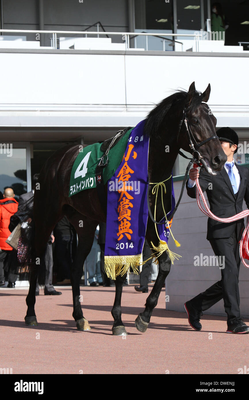 Fukuoka, Japan. 17. Februar 2013. Letzten Auswirkungen Pferderennen: Letzte Auswirkung nach dem Gewinn der Kokura Daishoten in Kokura Racecourse in Fukuoka, Japan. © Eiichi Yamane/AFLO/Alamy Live-Nachrichten Stockfoto