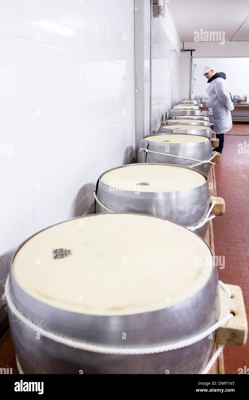 Parmigiano Reggiano Käse Hersteller Fabrik in Baganzolino, Parma, Emilia Romagna, Italien Stockfoto