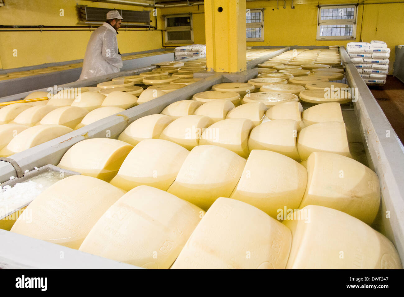 Parmigiano Reggiano Käse Hersteller Fabrik in Baganzolino, Parma, Emilia Romagna, Italien Stockfoto