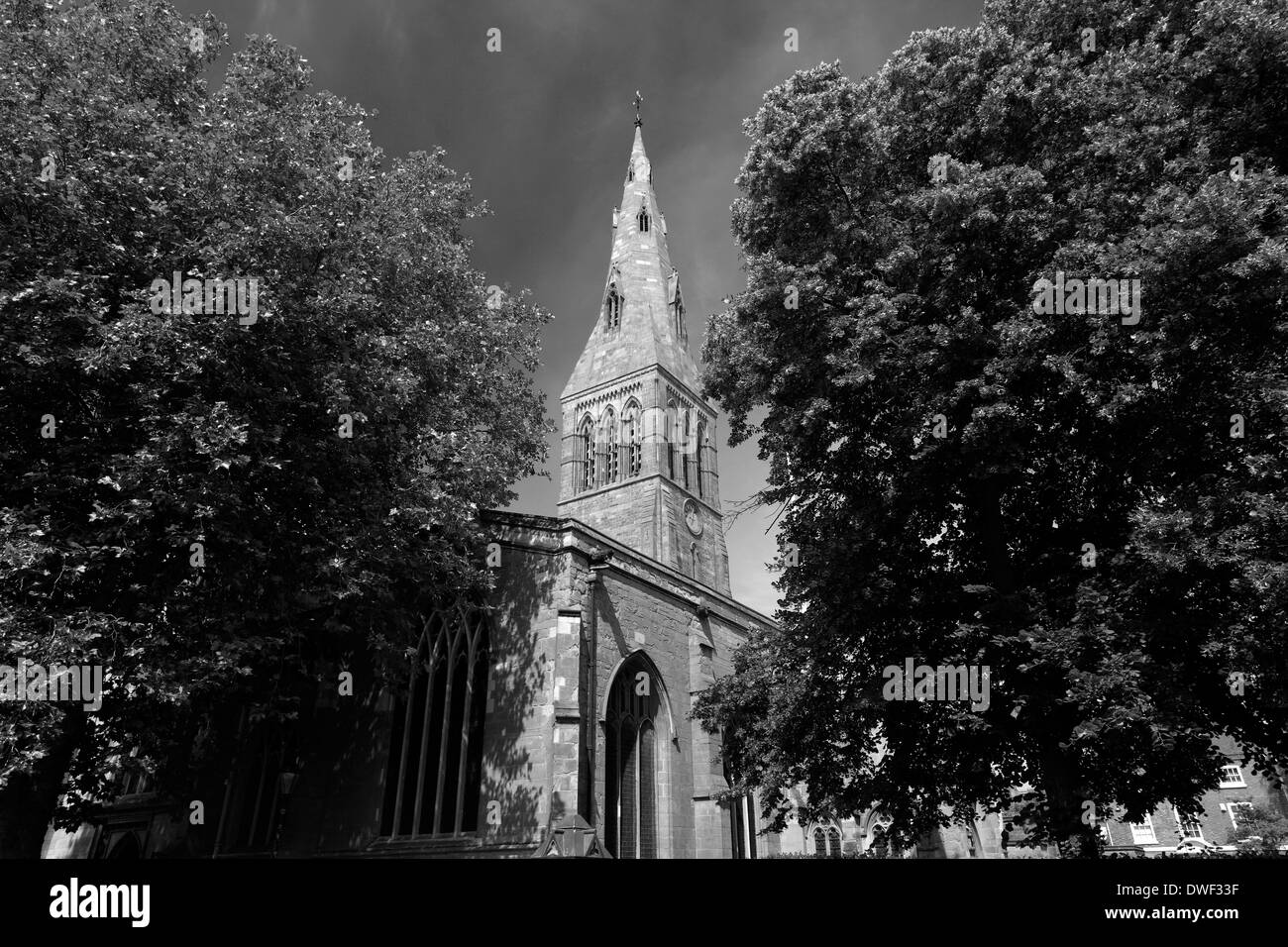Im Sommer Blick auf Leicester Kathedrale, Leicestershire, England; Großbritannien; UK Stockfoto
