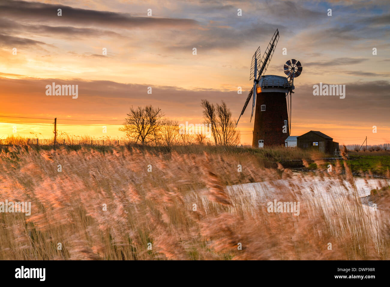 Früh morgens Sonnenaufgang auf den Norfolk Broads bei Horsey Mill, East Anglia, UK. Stockfoto