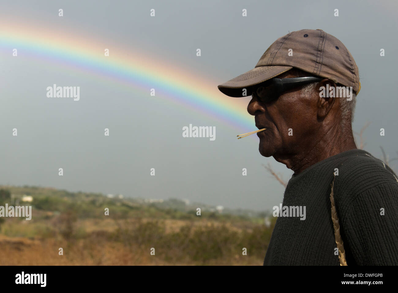 Sonnenuntergang mit Regenbogen Hintergrund. Ein Cowboy Pflege seiner Kühe. In Réunion, seine herrliche Landschaft, unberührte Natur und herrliche Stockfoto