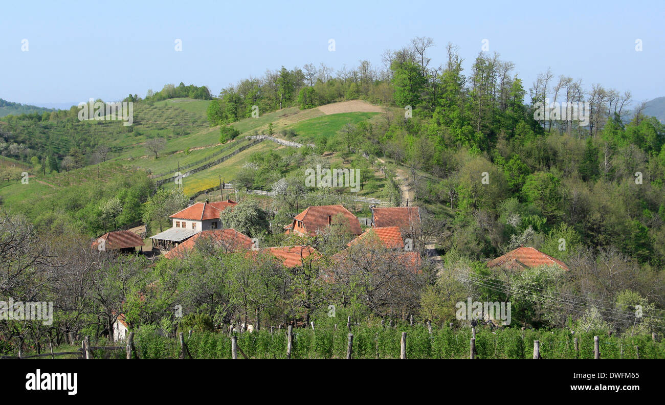 Land, Serbien, serbische Dorf Stockfoto