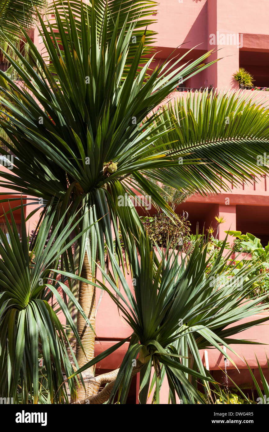 Abama Hotel 5-Sterne-Resort in der Nähe von Playa San Juan auf Teneriffa, Kanarische Inseln, Spanien. Stockfoto