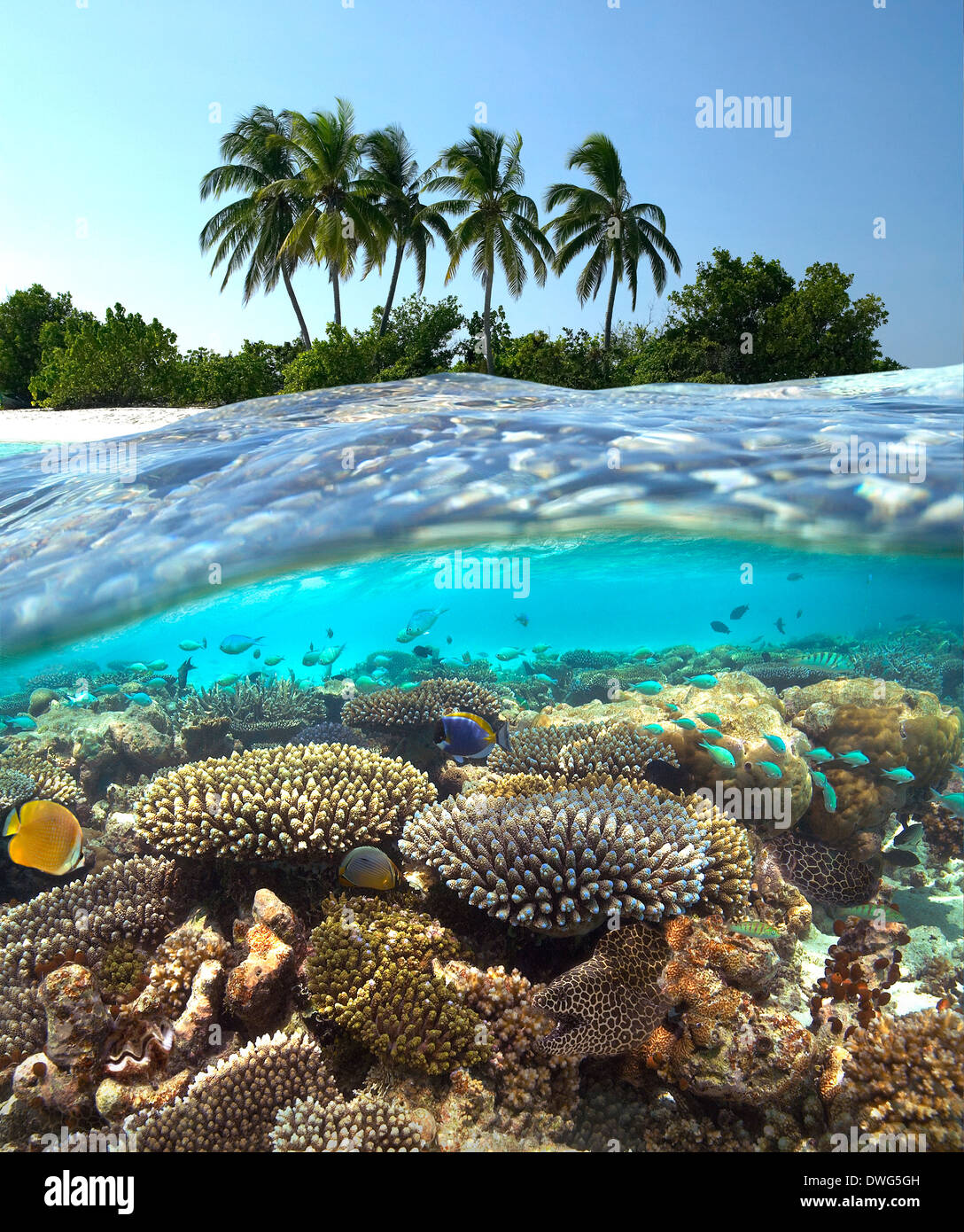 Tropische Lagune im Süd Ari Atoll auf den Malediven im Indischen Ozean. Stockfoto