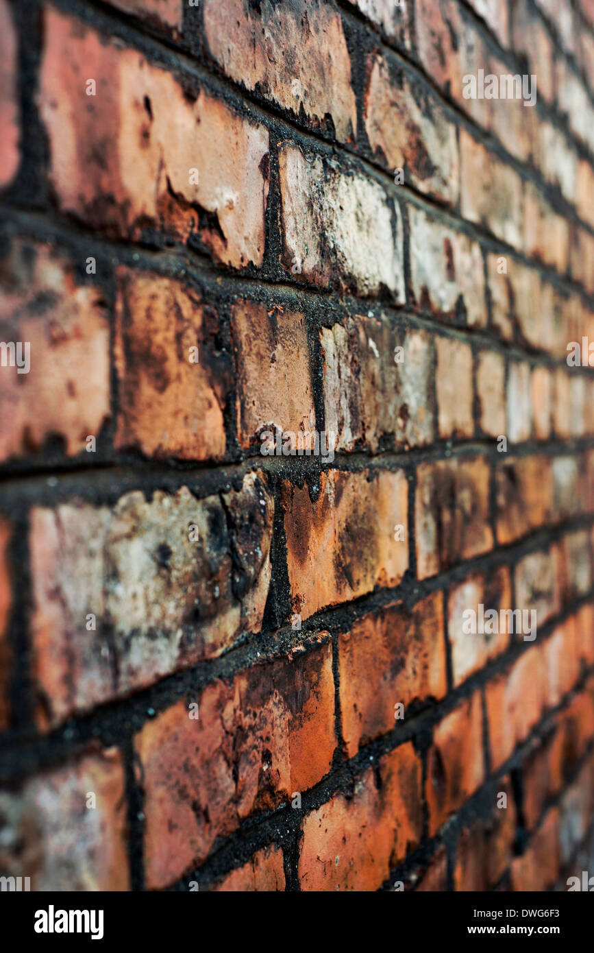 Nahaufnahme von einer Ziegelmauer Stockfoto