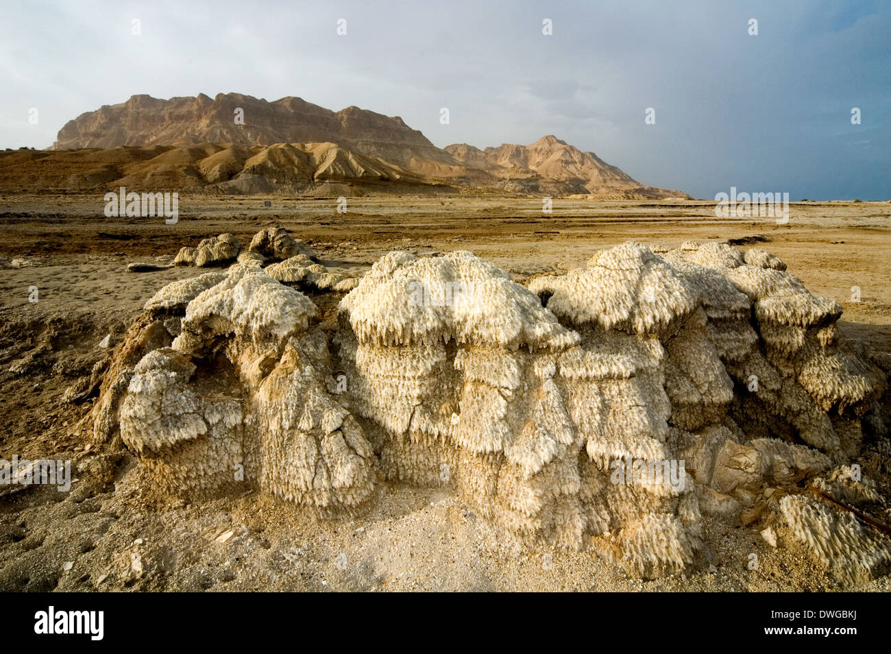 Salzformationen im Toten Meer, Israel Stockfoto