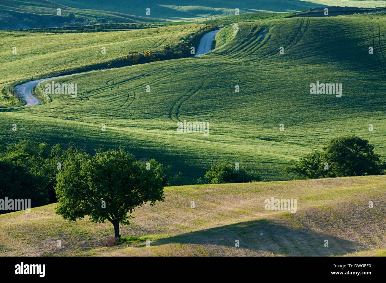Ein Blick auf die toskanische Landschaft aus der Hill Top Stadt Pienza, Siena, Italien, Europa Stockfoto