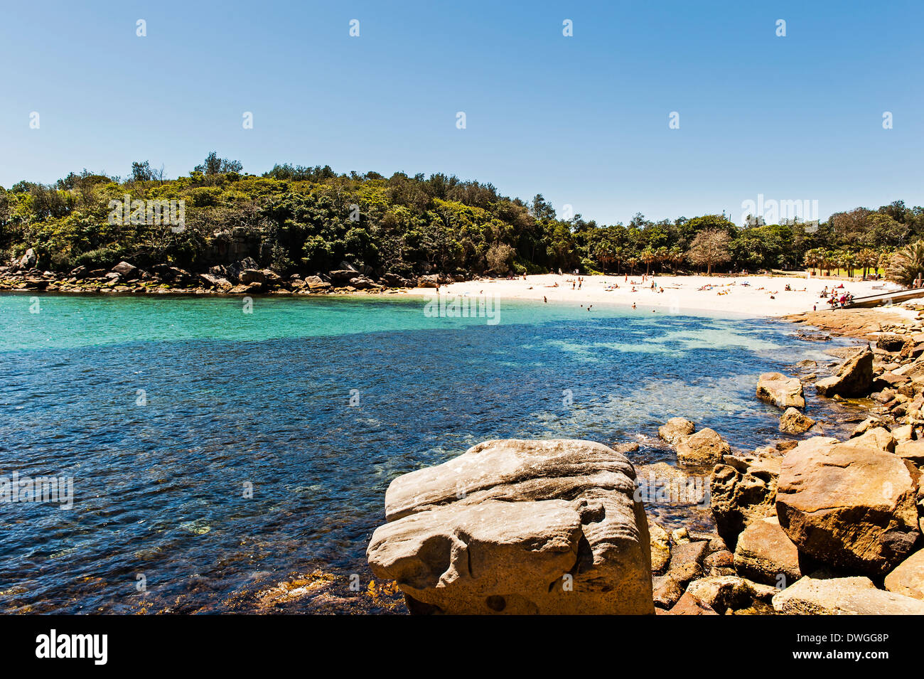 Manly Beach Blick über Cabbage Tree Bay, Shelly Beach Stockfoto