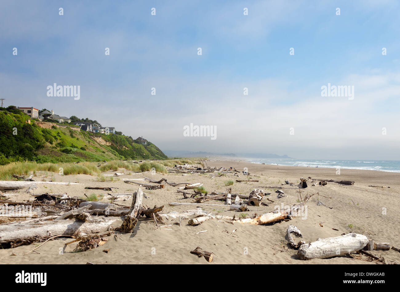 Treibholz überdachten Strand an Lincoln City, Oregon Stockfoto