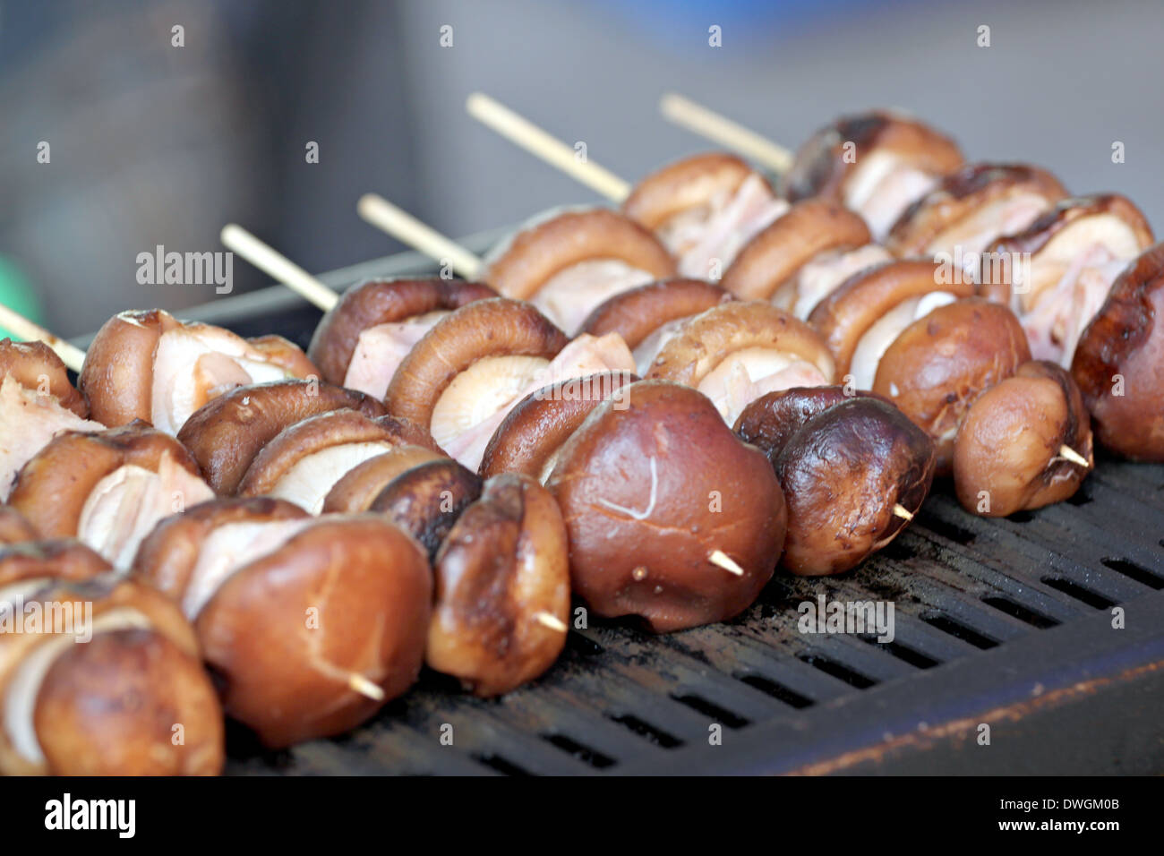 Shiitake-Pilze auf dem Grill ist Hausmannskost, Thailand. Stockfoto