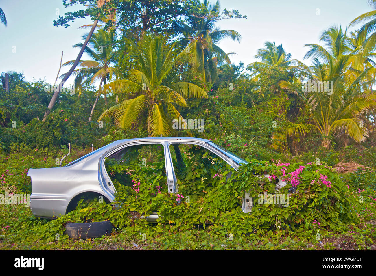 Auto mit Blumen Stockfoto