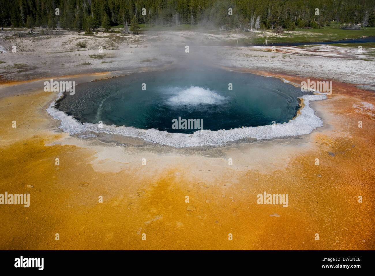 Chromatischer Pool in Upper Geyser Basin, Yellowstone-Nationalpark, Wyoming. Stockfoto