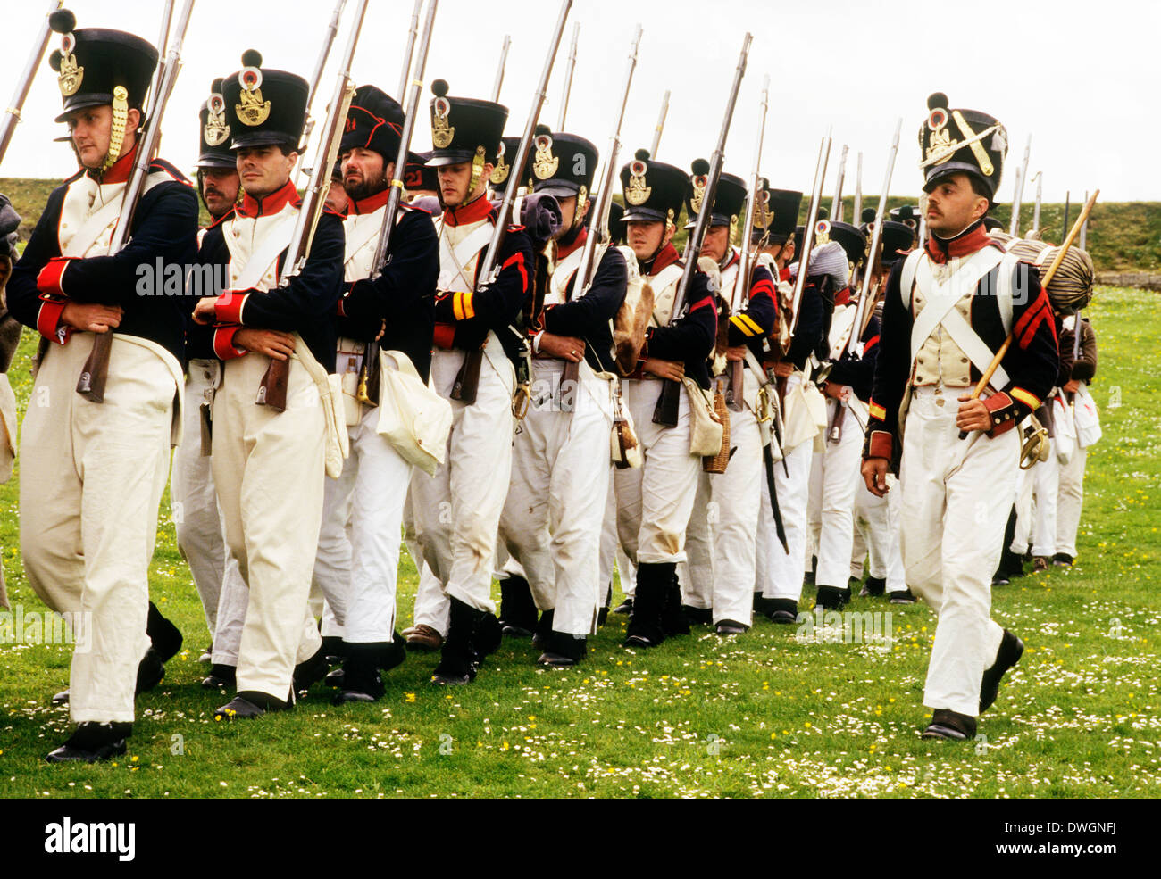 Französisch napoleonischen Fuß Regiment Soldaten mit Musketen, 1815, als in der Schlacht von Waterloo, Reenactment bereitgestellt Stockfoto