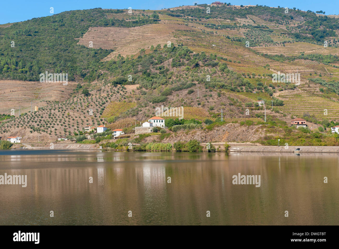 Weinregion Alto Douro Stockfoto