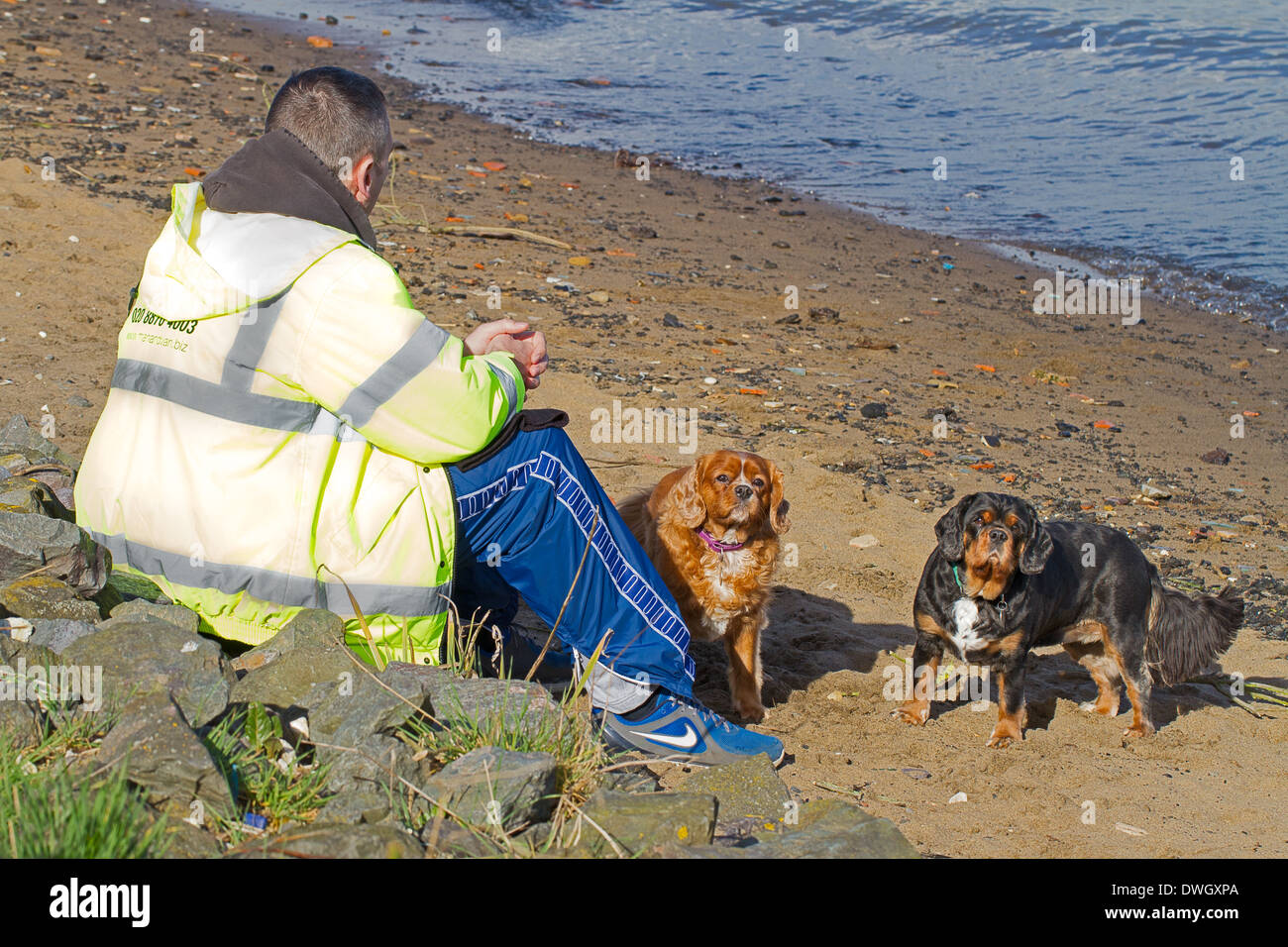 Ein Mann und seine Hunde ruhen am Ufer der Themse im North Greenwich Stockfoto